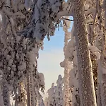 Kodinomainen Juoksenki, Napapiiri, Lappi Juoksenki