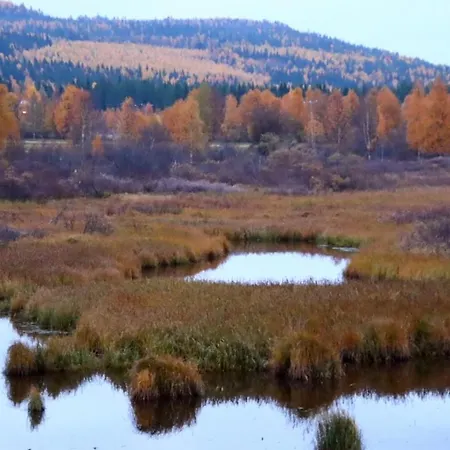 Kodinomainen Juoksenki, Napapiiri, Lappi * Juoksenki