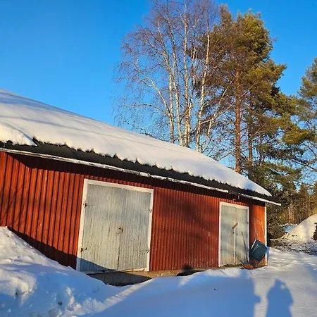 Kodinomainen Juoksenki, Napapiiri, Lappi