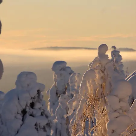 Vakantiehuis Kodinomainen Juoksenki, Napapiiri, Lappi