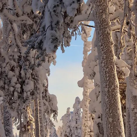 Kodinomainen Juoksenki, Napapiiri, Lappi Juoksenki