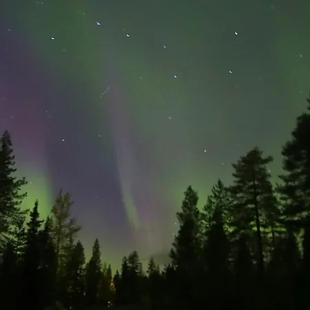 Kodinomainen Juoksenki, Napapiiri, Lappi Juoksenki
