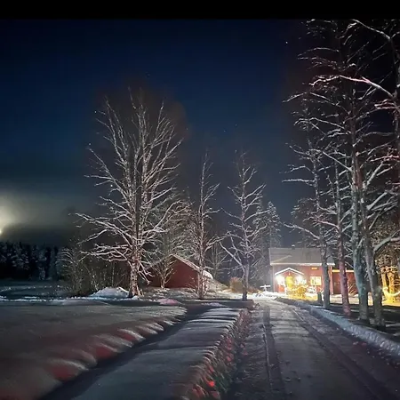 Kodinomainen Juoksenki, Napapiiri, Lappi