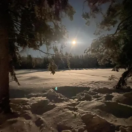 Kodinomainen Juoksenki, Napapiiri, Lappi