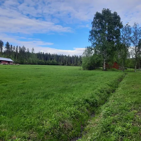 Kodinomainen Juoksenki, Napapiiri, Lappi Hébergement de vacances