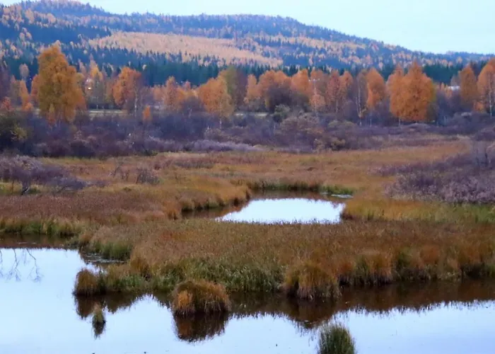 Kodinomainen Juoksenki, Napapiiri, Lappi * Juoksenki