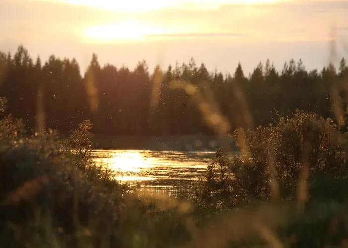 Kodinomainen Juoksenki, Napapiiri, Lappi 度假居