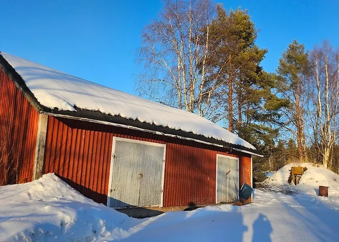 Kodinomainen Juoksenki, Napapiiri, Lappi