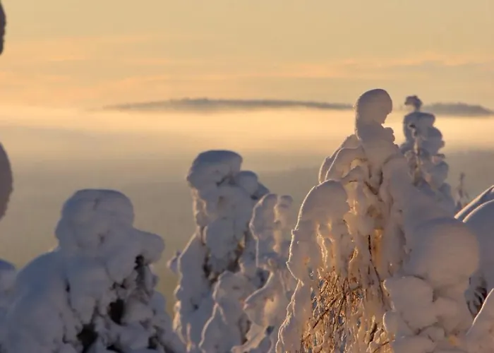 度假居 Kodinomainen Juoksenki, Napapiiri, Lappi