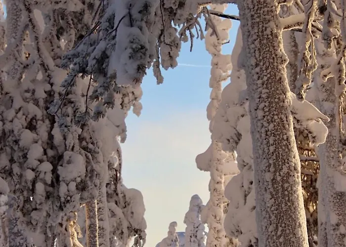 Kodinomainen Juoksenki, Napapiiri, Lappi Juoksenki