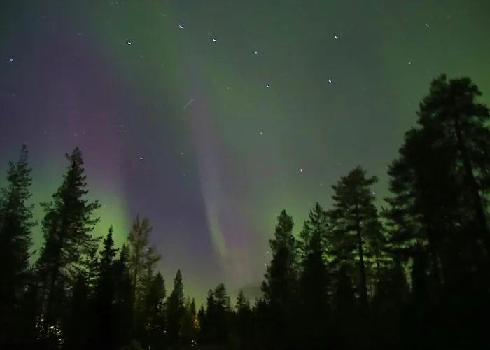 Kodinomainen Juoksenki, Napapiiri, Lappi Juoksenki