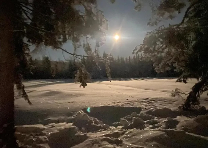 Kodinomainen Juoksenki, Napapiiri, Lappi