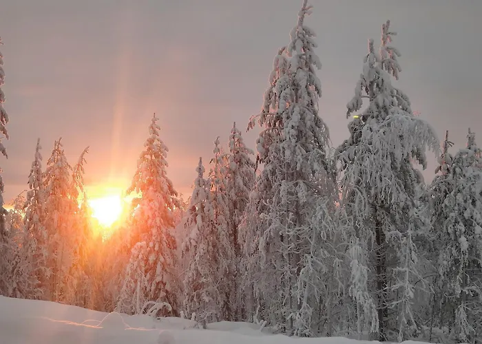 Kodinomainen Juoksenki, Napapiiri, Lappi Juoksenki