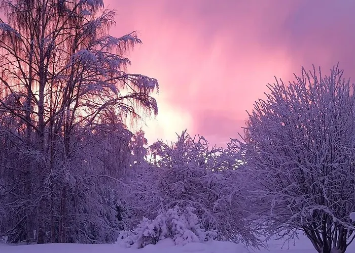 Kodinomainen Juoksenki, Napapiiri, Lappi 度假居 *