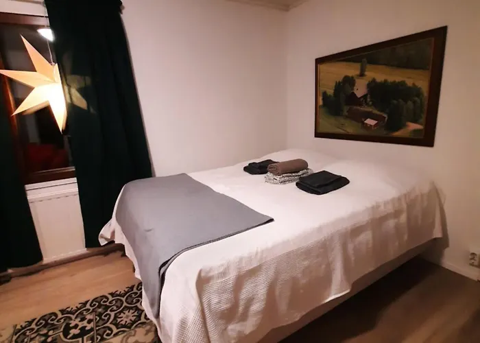 Kodinomainen Juoksenki, Napapiiri, Lappi 度假居